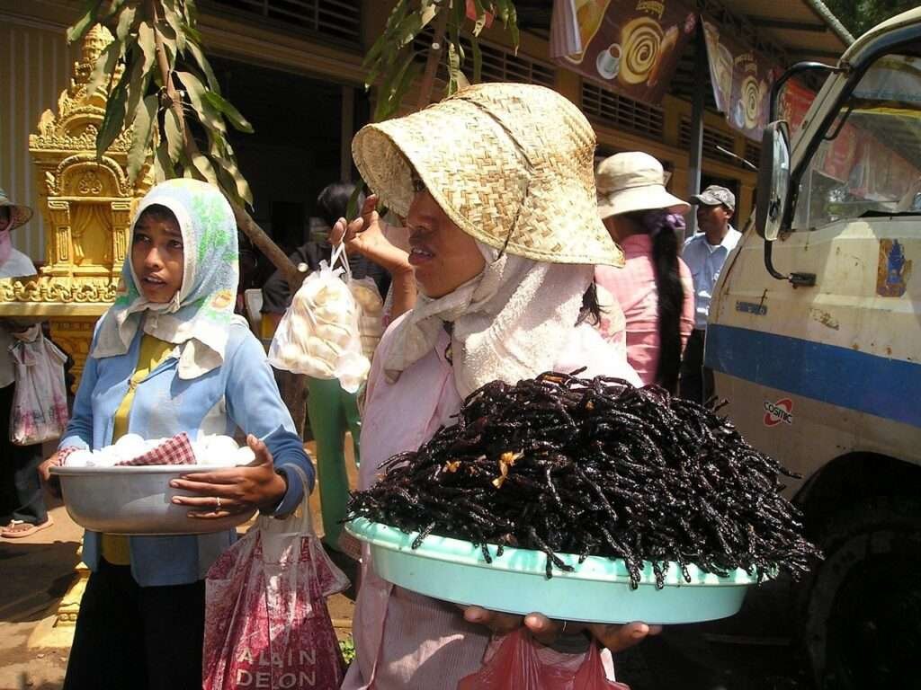Cambodia women holding a tray full of fried insects.